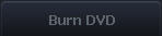 burn dvd button