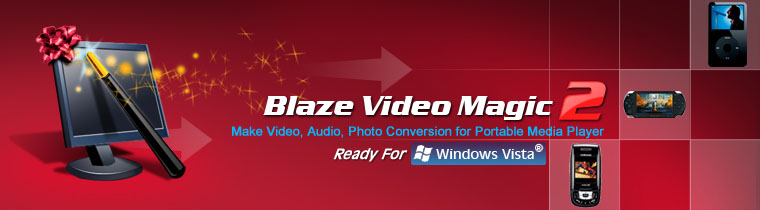 DVD playback SDK