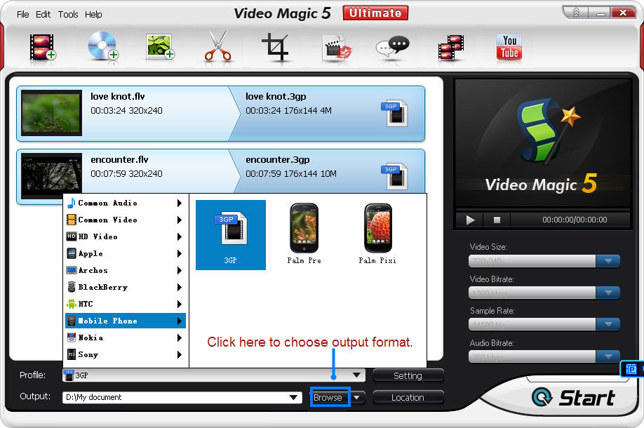 FLV to 3GP
