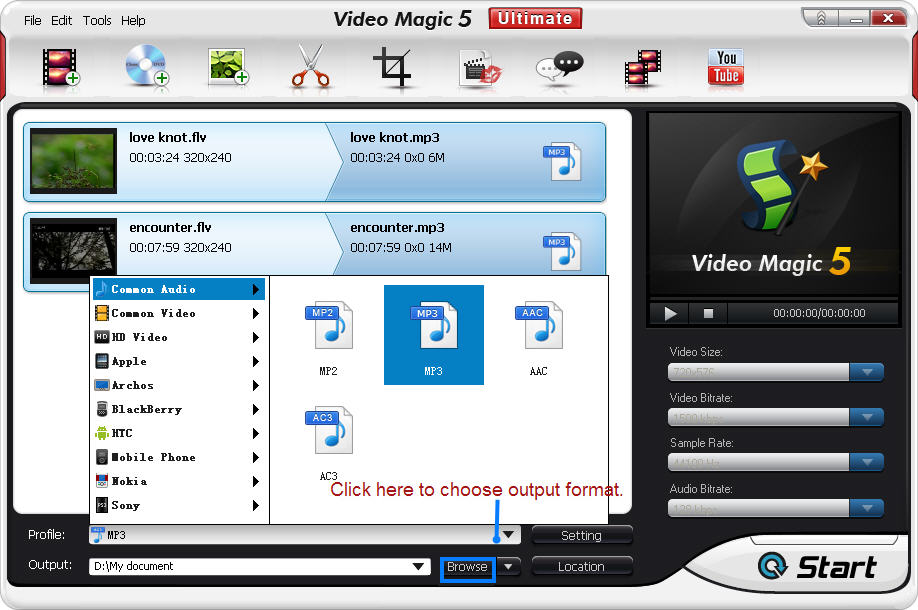 FLV to MP3
