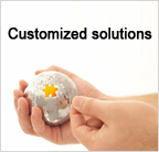 blazevideo customized solutions